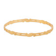 Double-Band Paisley Gold Bangle 2
