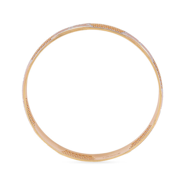Tanishq 22KT Gold Bangle for Women 3