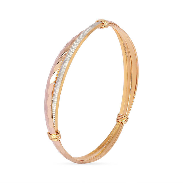 Tanishq 22KT Gold Bangle for Women 3