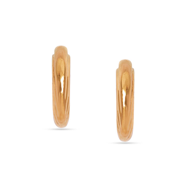 Tanishq 22KT  Gold Earrings  for Women 