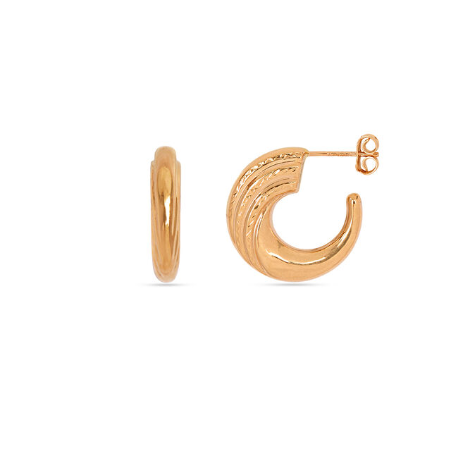 Tanishq 22KT  Gold Earrings  for Women 2