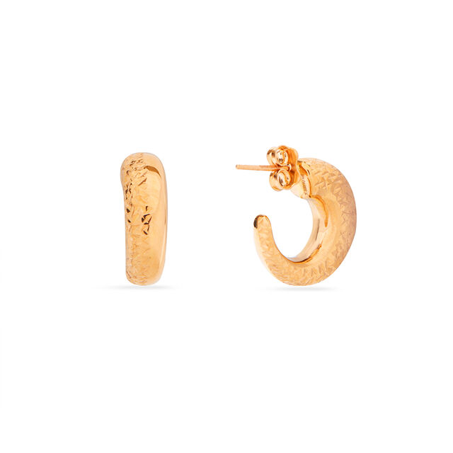 Tanishq 22KT Gold Earrings for Women 2