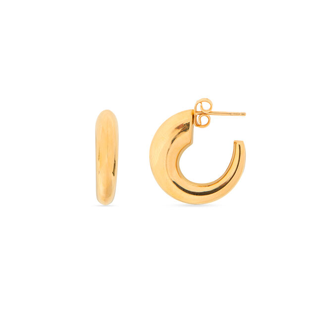 Tanishq 22KT Gold Earrings for Women 4