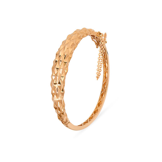 Tanishq 22KT Gold Bangle for Women 3