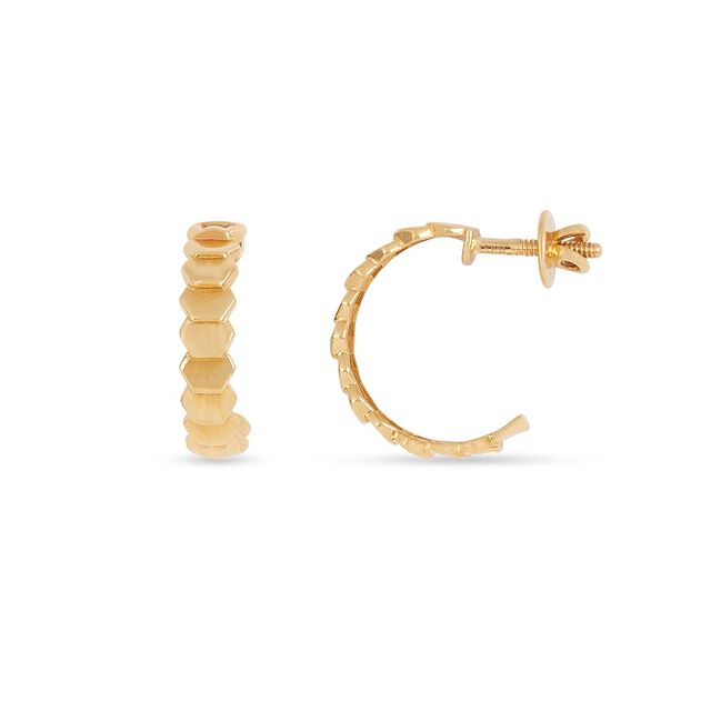Tanishq 22KT Gold Earrings for Women 2