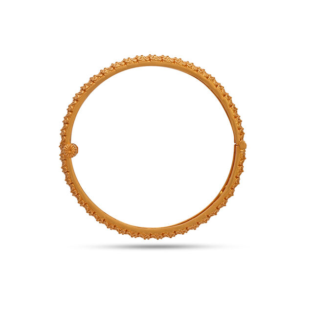 Tanishq 22 Karat Gold Bangle for Women 5
