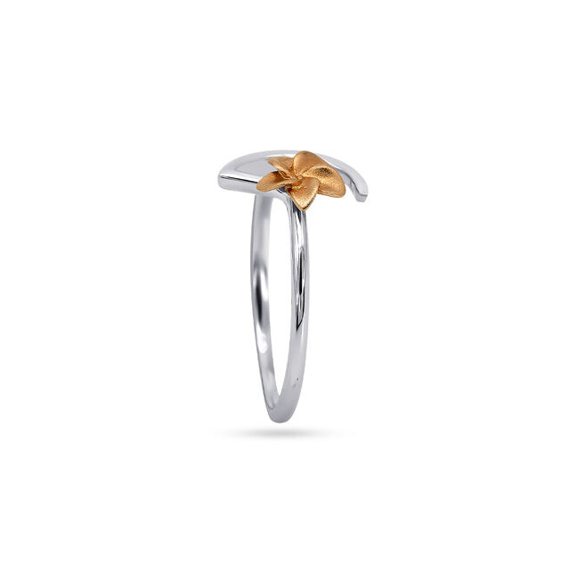 Finger Ring